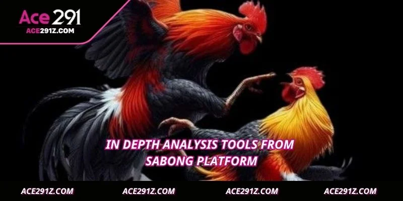 In depth analysis tools from Sabong platform