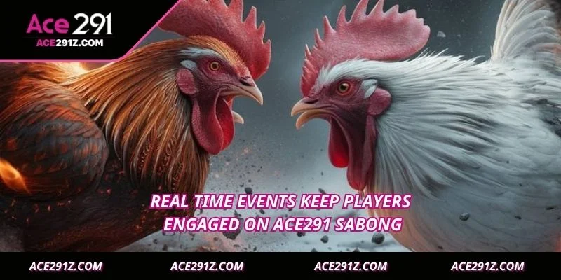 Real time events keep players engaged on Ace291 Sabong