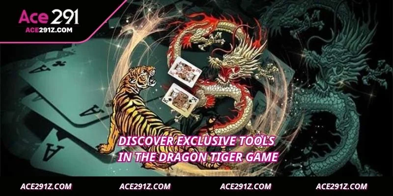 Discover exclusive tools in the Dragon Tiger game