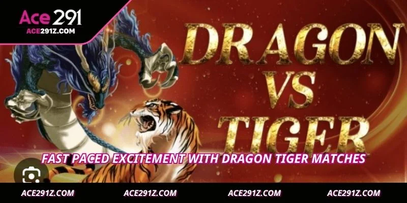 Fast paced excitement with Dragon Tiger matches