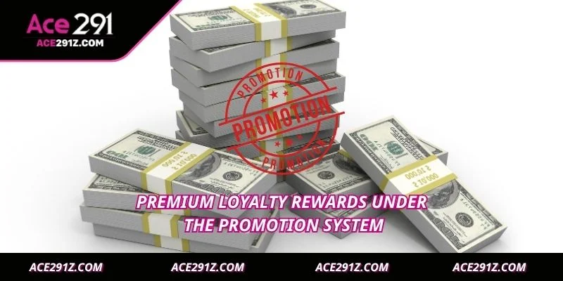 Premium loyalty rewards under the promotion system