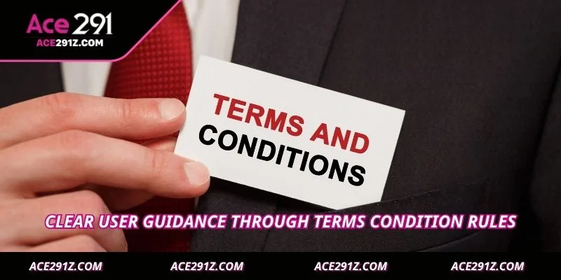 Clear user guidance through terms condition rules