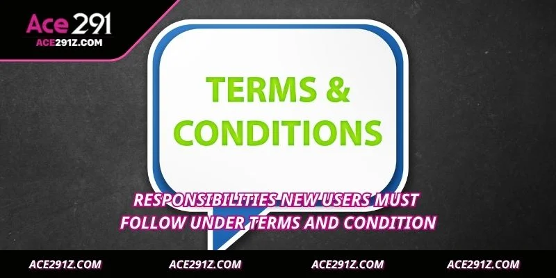 Responsibilities new users must follow under terms and condition